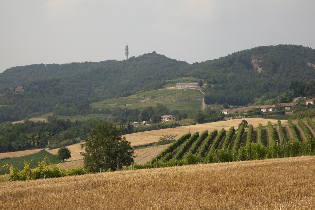 Crealto Villa Alfiano Natta Exterior photo